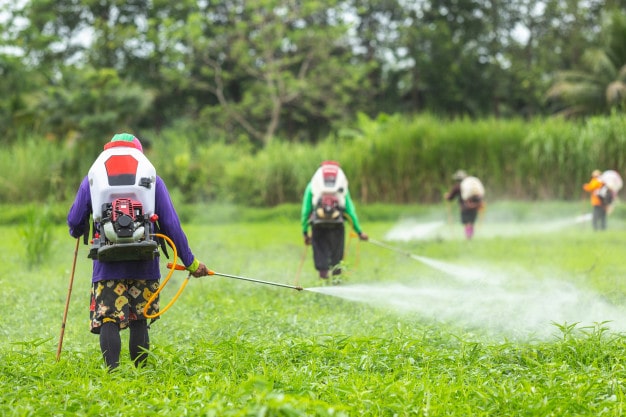 EPA Sued over Reapproval of Glyphosate, the Active Ingredient in Roundup®
