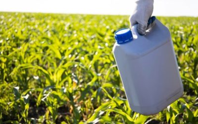 Monsanto Wins Recent Roundup Bellwether Trial